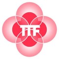 Grootste Indische evenement ter wereld: Tong Tong Fair